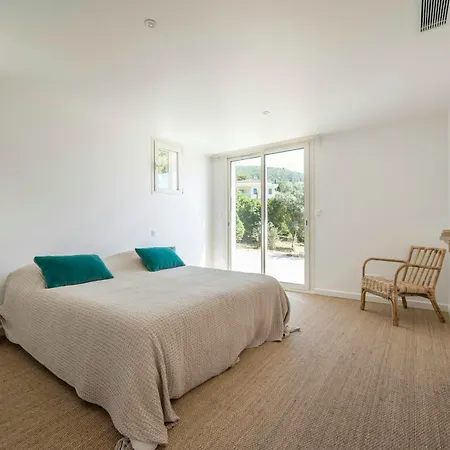 Modern In With Beautiful View *